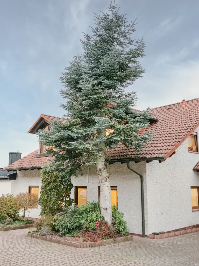 Exterior view of the house at Stay Eden TOPAZ GREEN near Ramstein Air Base.