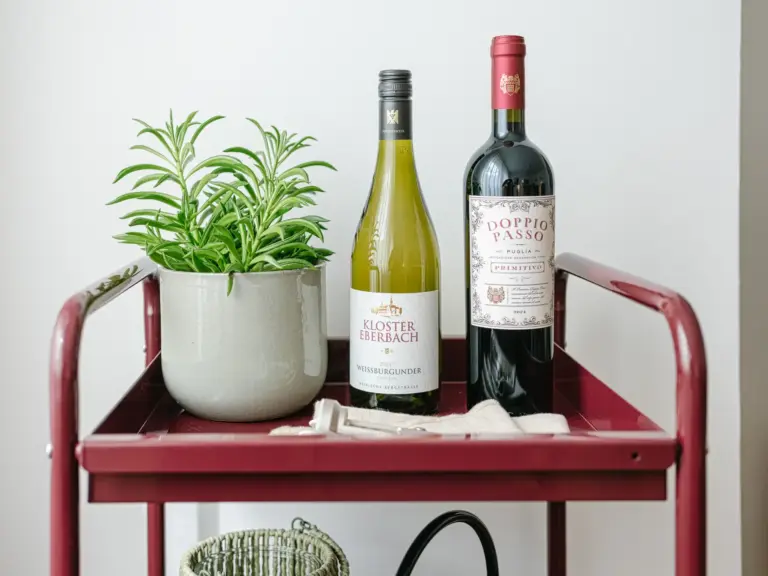 Welcome wine bottles and plant detail in OPAL GREEN apartment near Ramstein