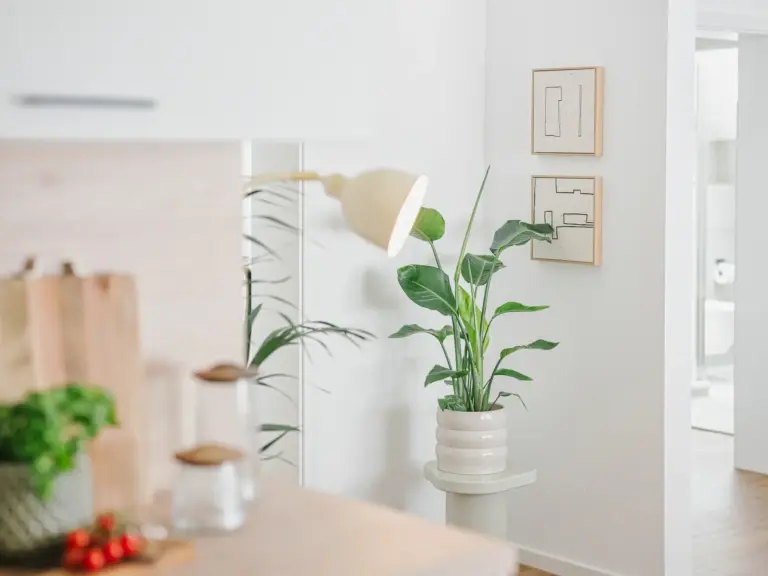 Indoor plant and floor lamp detail in OPAL BLUE TLA apartment near Ramstein