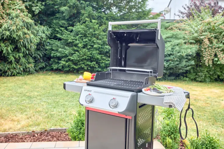 CORAL BLOOM gas barbecue with fresh vegetables on the terrace overlooking the private garden