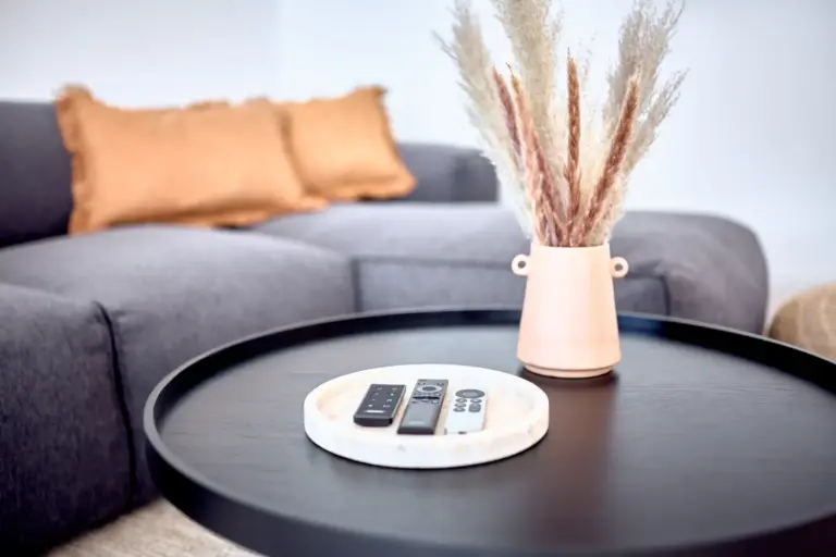 Remote controls for the entertainment system at CORAL BLOOM arranged on a decorative tray
