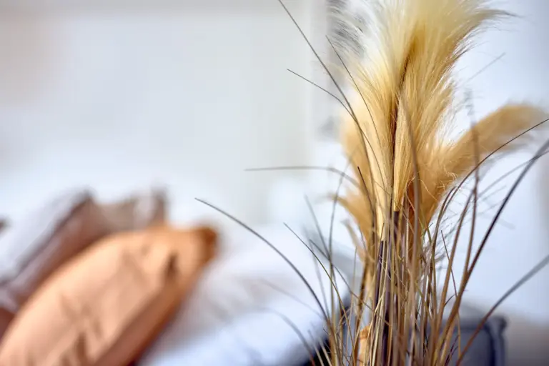 Decorative dried grasses in warm natural tones with CORAL BLOOM's living room softly blurred in the background