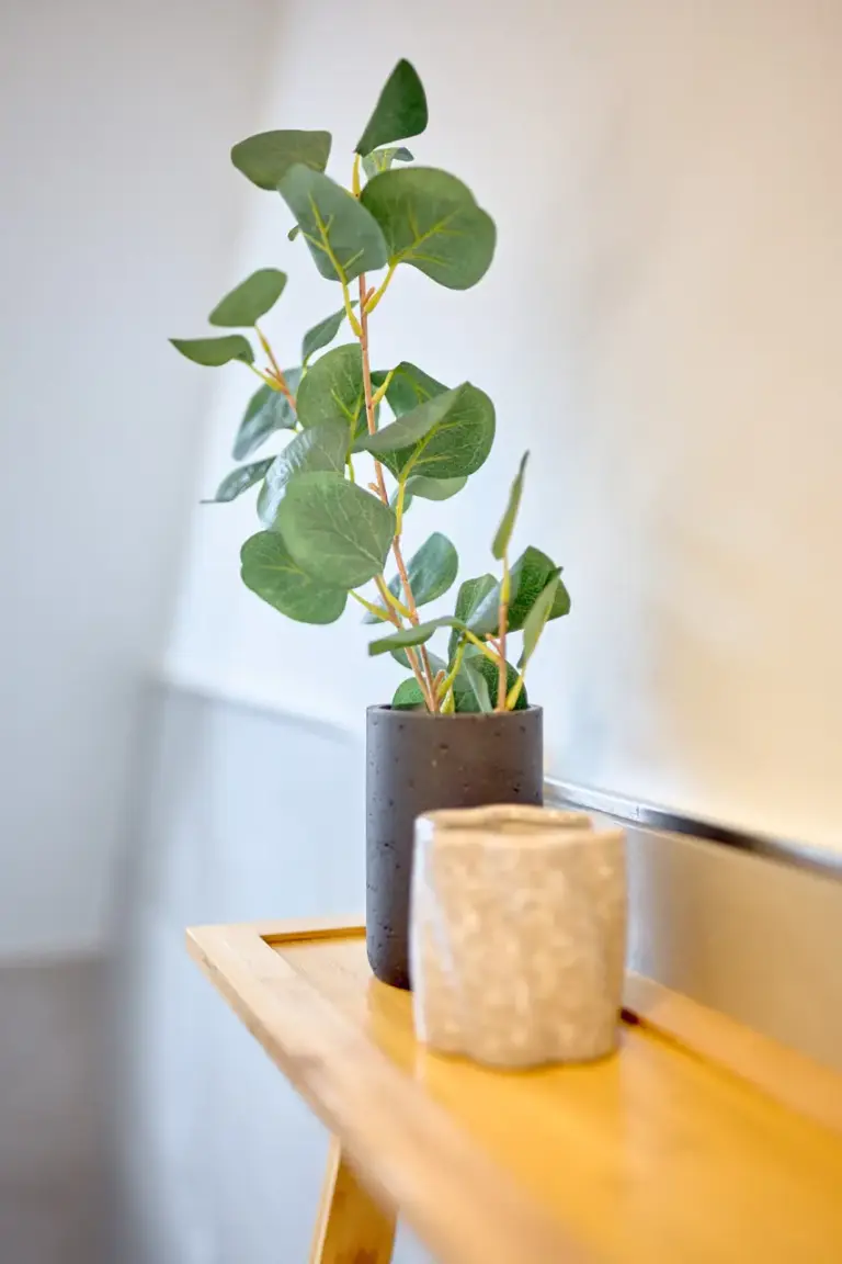 Decorative green plant and candles on a wooden shelf in the half bath at CORAL SUN