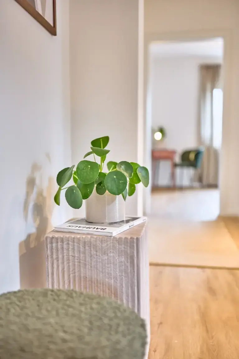 Decorative green plant on a side table in the bright hallway of CORAL SUN