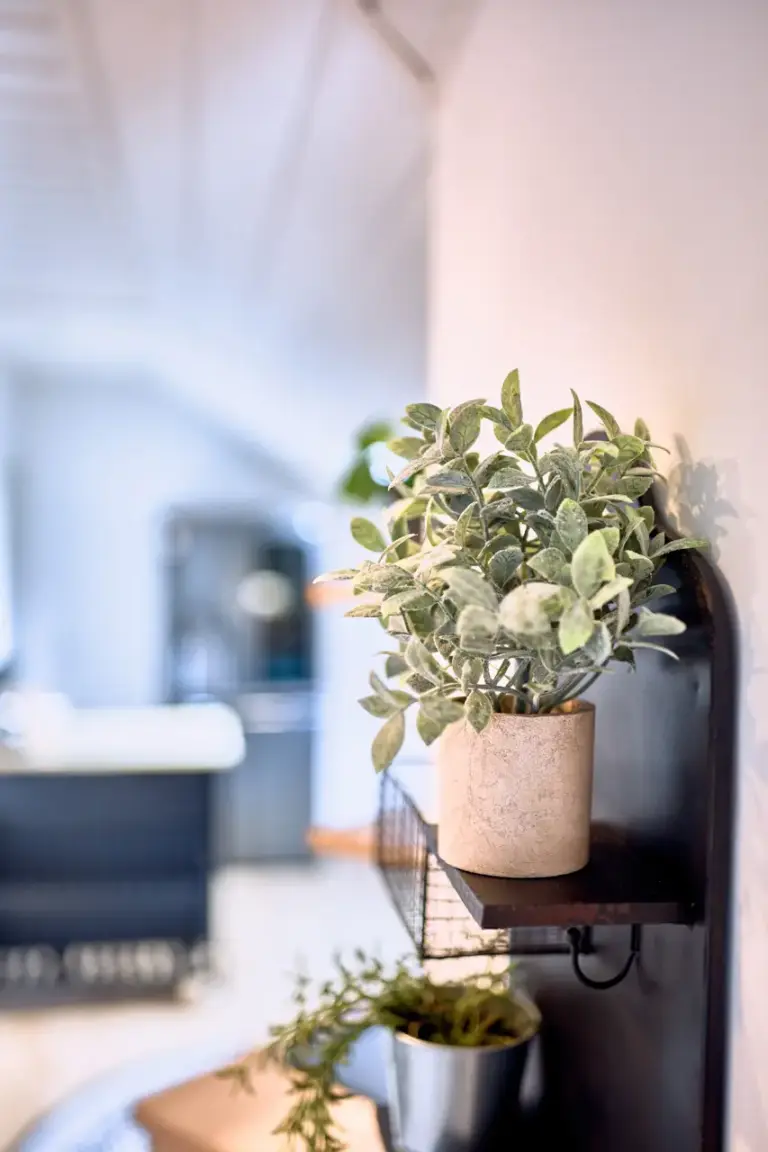 Decorative greenery in entrance hallway at Stay Eden AMBER GLOW
