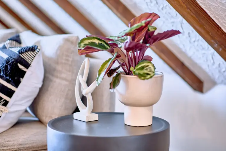 Plant and decorative details in the living room at RUBY NOIR