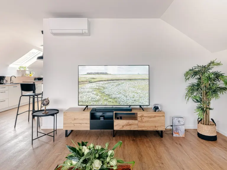 TV and entertainment area at PEARL SILVER