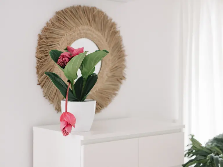 Decorative mirror and floral detail in the PEARL SILVER bedroom