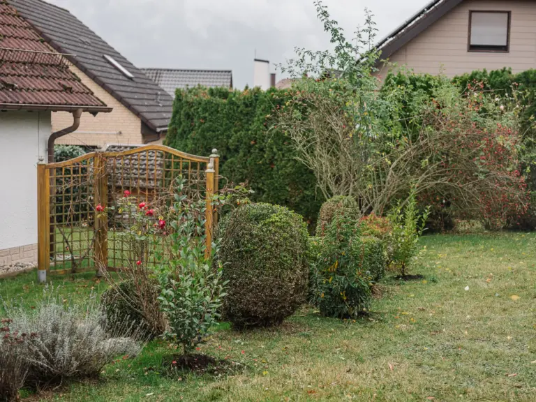 Green garden with shrubs and plants at RUBY RED