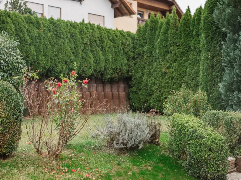 Landscaped private garden at RUBY RED